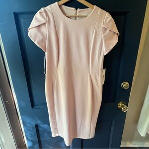 Calvin Klein Dress 12